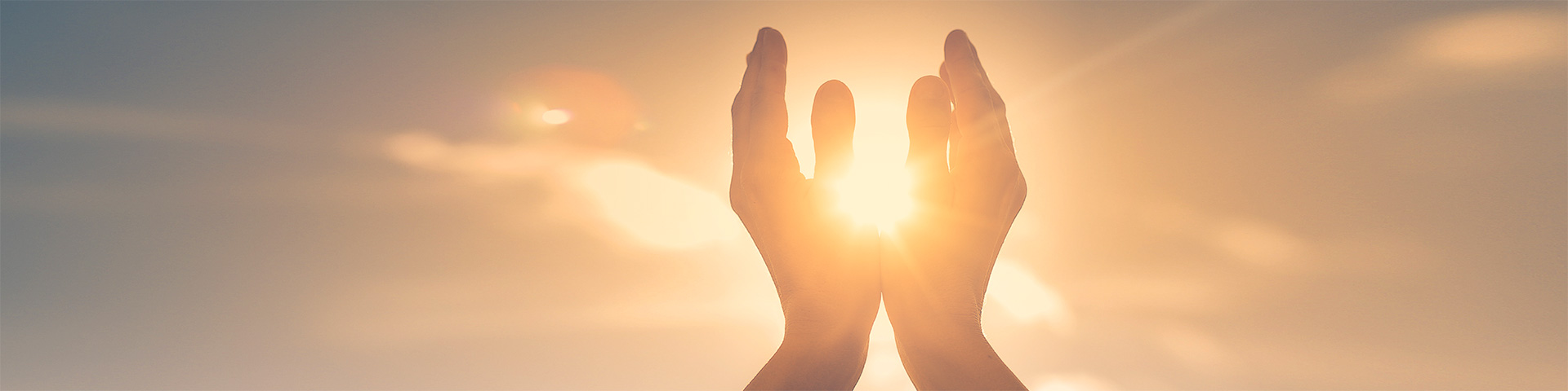 mg不朽情缘(中国)官方网站