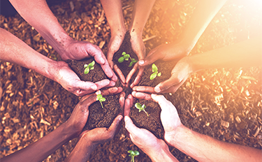 mg不朽情缘(中国)官方网站