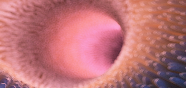 mg不朽情缘(中国)官方网站