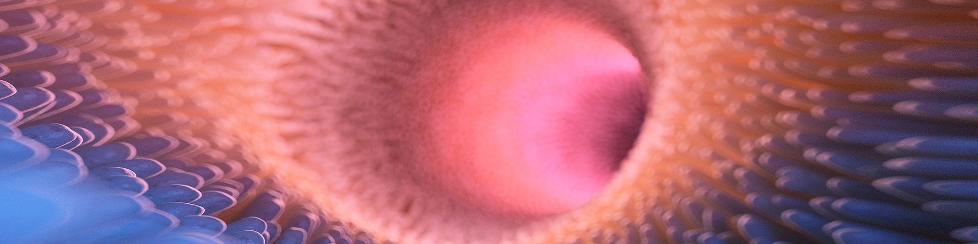 mg不朽情缘(中国)官方网站