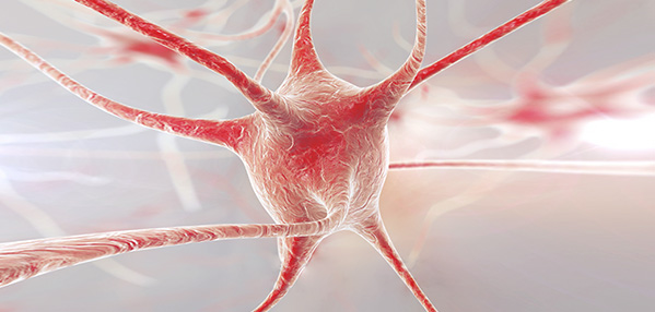 mg不朽情缘(中国)官方网站