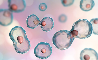 mg不朽情缘(中国)官方网站