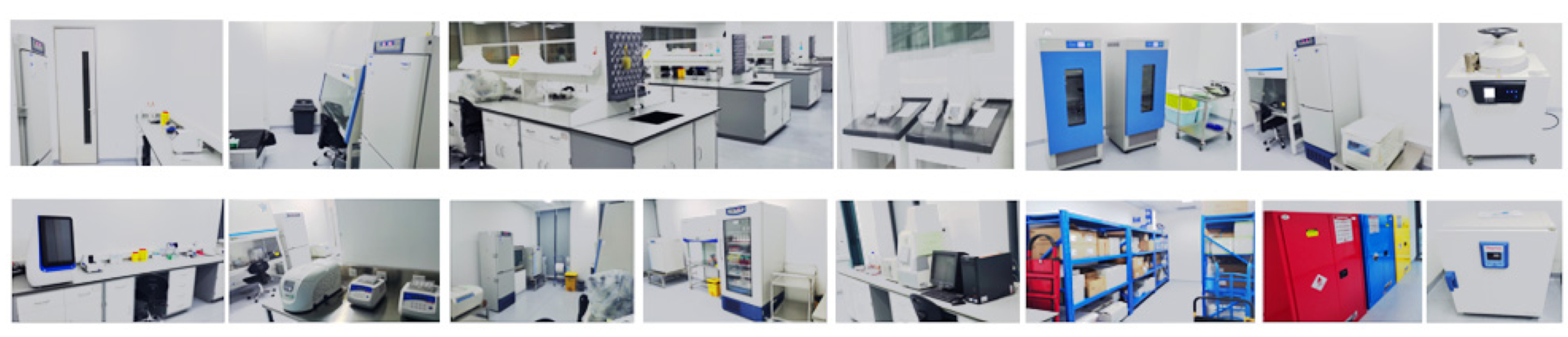 mg不朽情缘(中国)官方网站