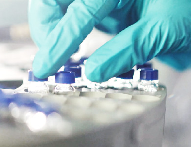 mg不朽情缘(中国)官方网站